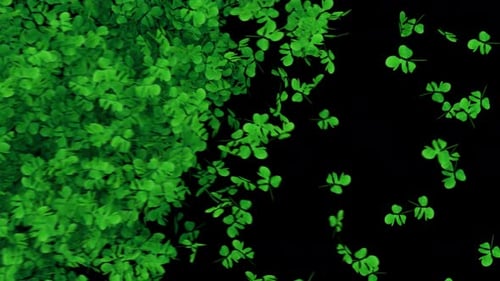 Transition St. Patrick’s Day on Alpha 4K