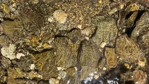 helles, sauberes Wasser fließt über den Fluss, paralleles Muster, gesundes Getränk, Frühlingssaison, tiefer Wald H.