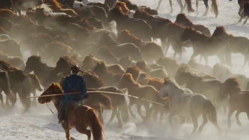 A Mongolian herder on horseback drives a powerful herd across snowy plains in Inner Mongolia, envelo