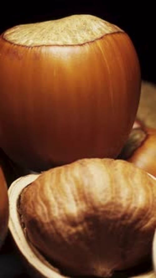 Hazelnuts on a black background rotate in a heap with other nuts. Close-up. Vertical video.
