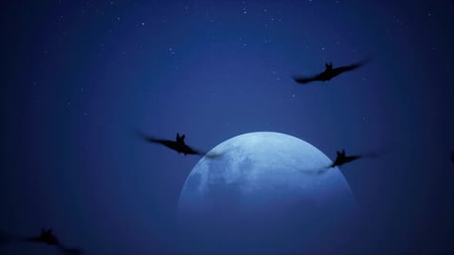 Flying Bats and Full Moon on a Starry Halloween Night