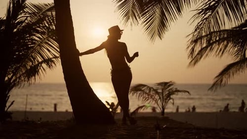 Woman Relaxes on Tropical Island Beach Pretty Woman in Bikini Admire View Under Palm Tree on Sand