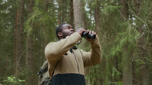 Explorador observando a vida selvagem na floresta