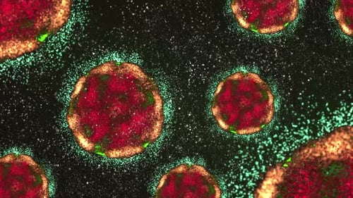 Animated Microscopic Cells with Glowing Particles Science Background