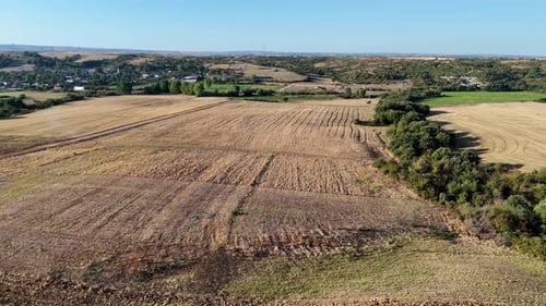 Fields Next To The Village