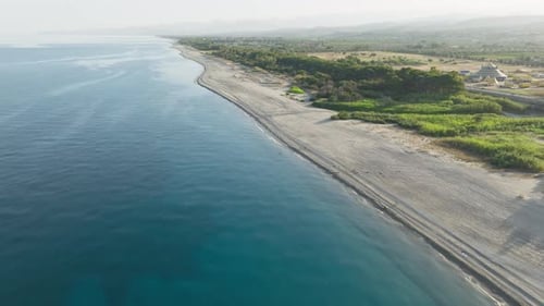 Sandy Empty Beach Coast With Pine Forest And Mediterranean Ocean In Calabria