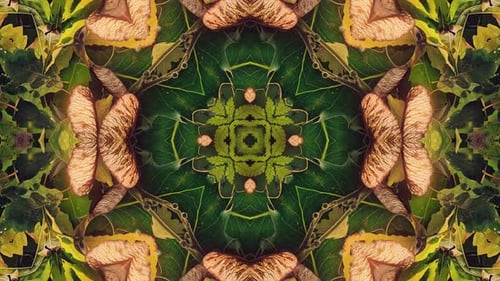 Seasonal Leaves Pattern 14