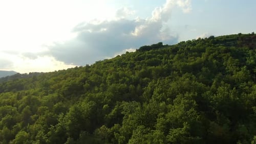 Orchard terraces and vegetation at the edge of lake Butoniga water reservoir in Croatia, Aerial dron