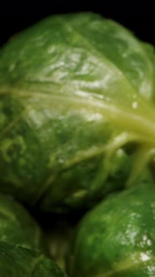 Vertical video. A camera moves through a multitude of Brussels sprouts on a black background. Dolly