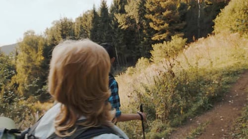 Elderly Couple with Backpacks and Hiking Sticks Walk on a Forest Trail on a Sunny Day and Plan Their