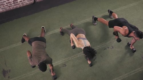 Top view, people and push up with dumbbells for fitness and weightlifting