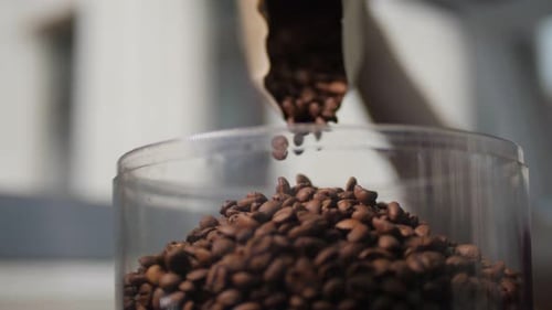 Pouring Coffee Beans Into Plastic Container in Cafe Closeup