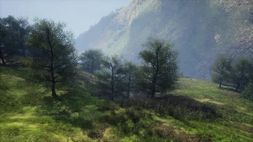 Carpathian Mountains Moody Weather Landscape