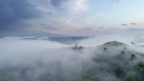 Tranquil Mountain Fog Layers
