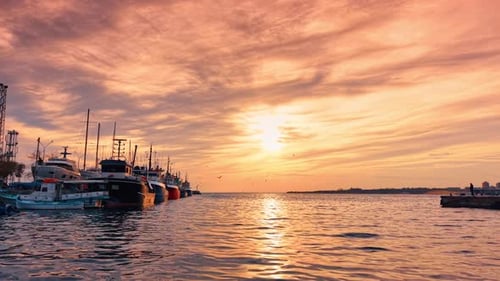 Beautiful Ocean Sunset with Boats and City Skyline