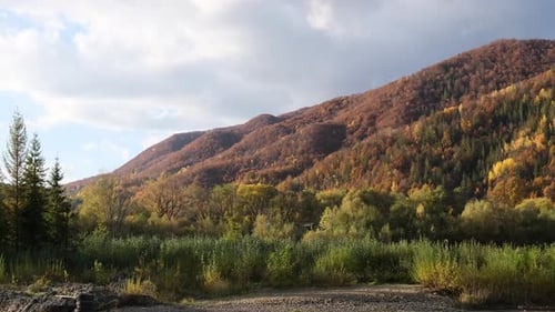 Autumn forest landscape between mountains