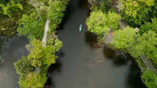 Kayakers on a Lake with a Narrow River in the Forest During Summer Holidays