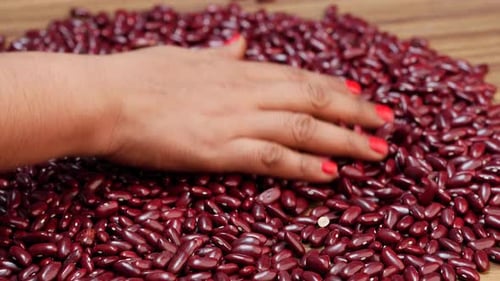 Hand Sifting Through Pile of Uncooked Kidney Beans