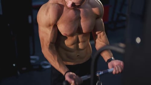 Muscular Man Exercising Biceps on Cable Machine in Gym