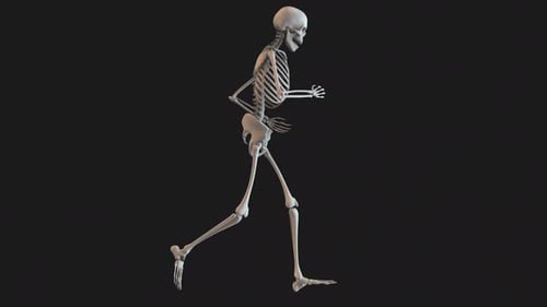 Skeleton Standard Run Loop 01
