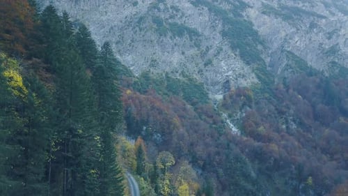 Zumbido que desciende en un valle de los Alpes austríacos en otoño en dirección a árboles coloridos y altos