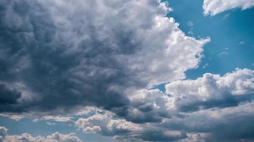 Soft White Cumulus Clouds Slowly Move in the Blue Sky Timelapse