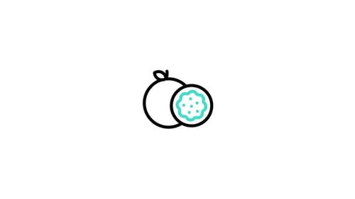 Redpassionfruit Animated Icon