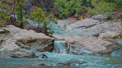 Rocky forest stream with calm water and large stones in peaceful nature scene