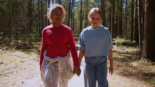 Los amigos disfrutan juntos de un paseo por la naturaleza en un tranquilo entorno forestal durante una tarde soleada