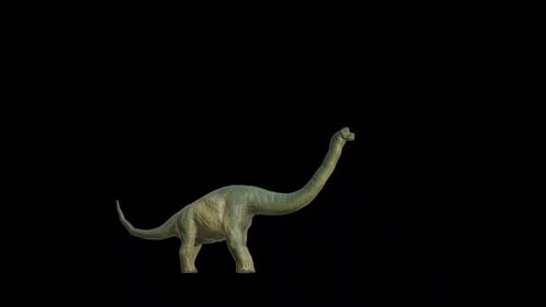 Ohrring für Brachiosaurus-Dinosaurier
