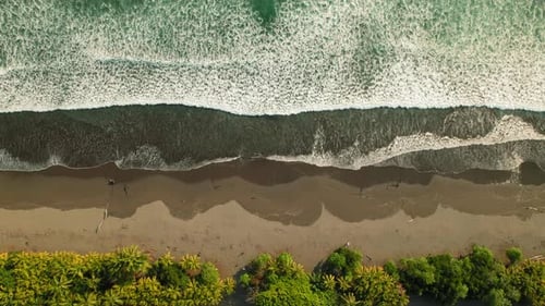 Aerial view of ocean waves rolling onto sandy beach with palm trees Costa Rica