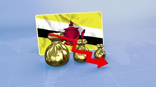 Brunei Reserves Decline Economic Crisis Data Graph Infographic