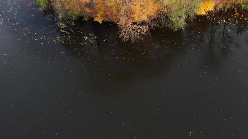 Aerial view of beautiful smooth green waters of a lake on a sunny autumn day. Bird's eye view of sce