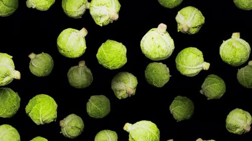 Fresh Green Cabbages Floating Animation Loop