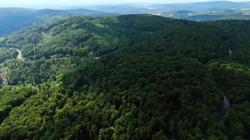 Lush green hills under a clear sky. Aerial view of lush green hills