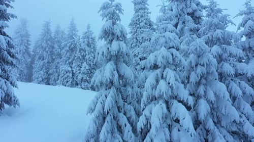 Luftaufnahme in Zeitlupe, fahren Sie einen wunderschönen verschneiten Winterbergwald hinauf.