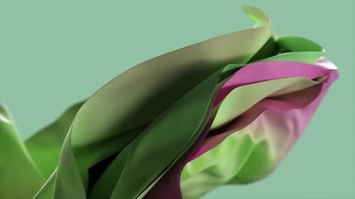 Fluid Abstract Pink and Green Fabric Flow Animation