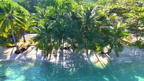 Discover the Serene Beauty of Koh Kood Island in Thailand with Lush Palm Trees and Golden Sands