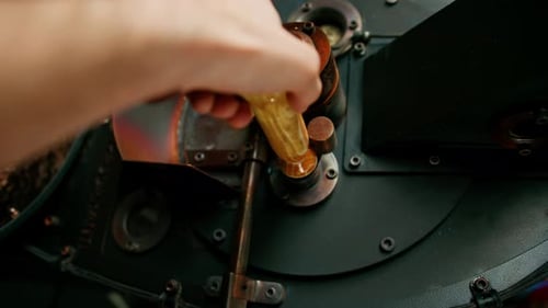 a worker shows coffee beans and checks the quality of the coffee after it has been roasted in coffee