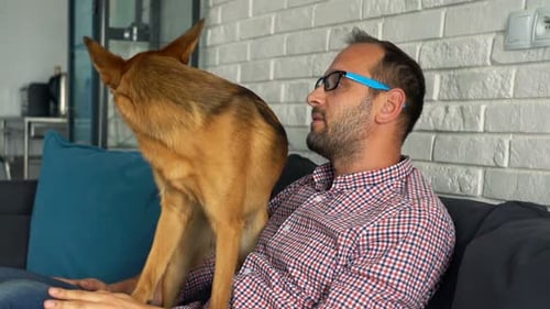 Man petting his dog while sitting on sofa