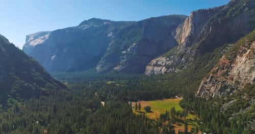 Sunny valley with pine tree wood among the rocks of Yosemite National Park, California, USA