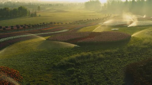 View of Irrigation System in Blooming Flower Park Early Morning. Watering Of