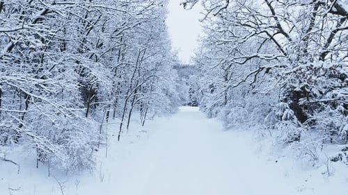 Drone shot flying slowly down snow covered dirt road