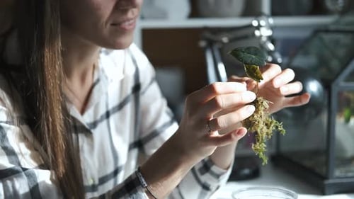 smiling woman holding and examining a young plant sprout