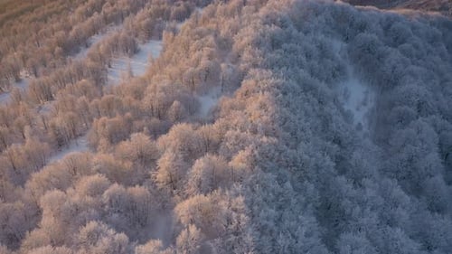 Winter Sunrise Above The Mountain Forest 14