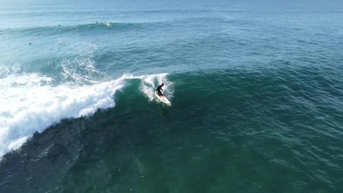 Surfer Rides Wave Aerial View