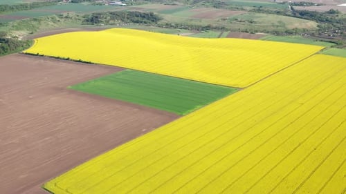 Aerial View of Colorful Fields in Rural Setting
