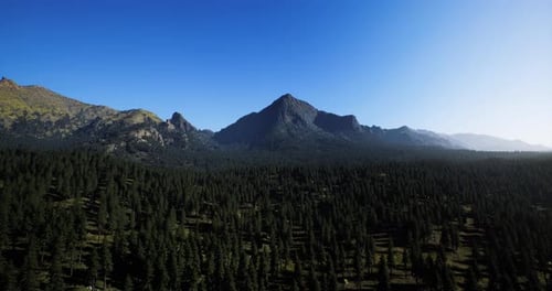 Majestic Mountain Range Rises Above a Lush Forest Under Clear Blue Skies