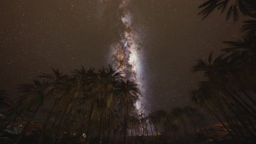 Night Scene with Silhouette Hut and Coconut Tree with Milky Way Galaxy in Sky