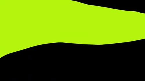 Fluid Organic Shape Transition Reveal